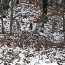 GhostBlind Predator Blind, Pop-Up Mirror Ground Hunting Blind -Coleman Camp Shop GUEST 6ca15cef 00f2 4e99 9d16 b36c47e2bb34