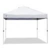 Z-Shade 10' X 10' Peak Canopy Straight Leg Instant Shelter With Screen & Weights
