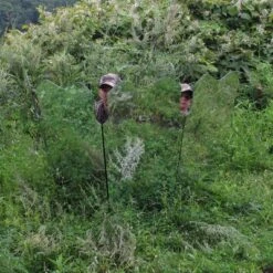 GhostBlind Predator Blind, Pop-Up Mirror Ground Hunting Blind -Coleman Camp Shop GUEST ef0066d7 4761 4e5e 916a 7f68ced52922