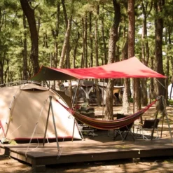 Unique Bargains Deck Pegs Aluminium Alloy Tent Stakes With Rope Hook Spring Tensioner For Camping Outdoor Plank -Coleman Camp Shop GUEST fa60ae88 9df6 4ad0 b26e f565bd87d72b 1